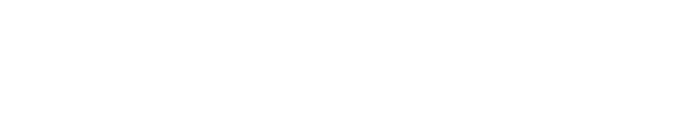 Safe Auto Parts